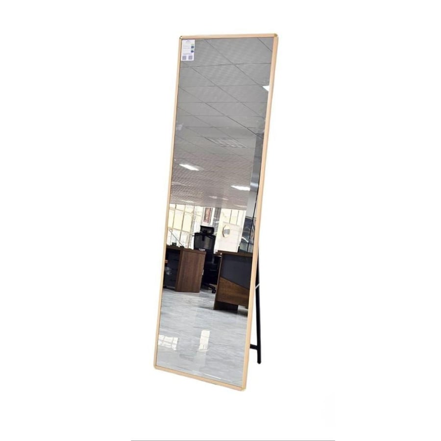 Standard mirror (165 * 50 cm)