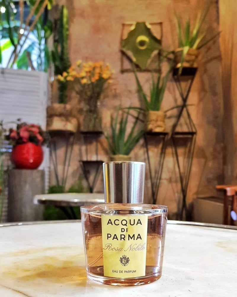 عطر اكوا دي بارما روز نوبيل أو دو برفيوم 100 مل