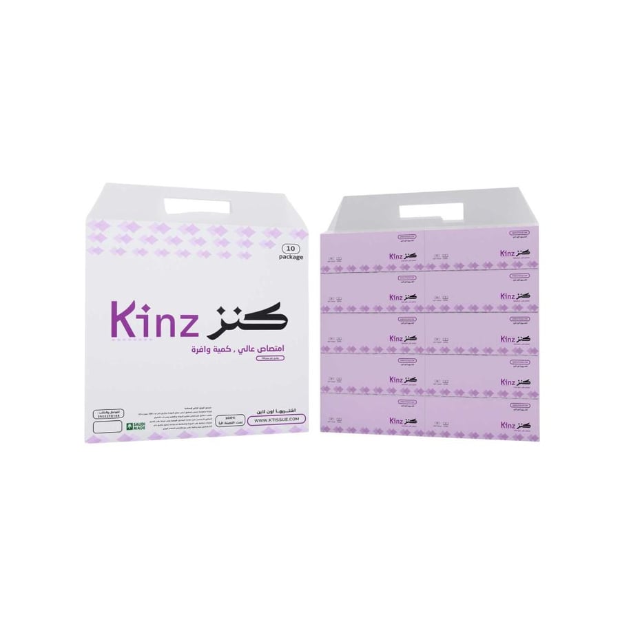 بكج كنز الأقتصادي