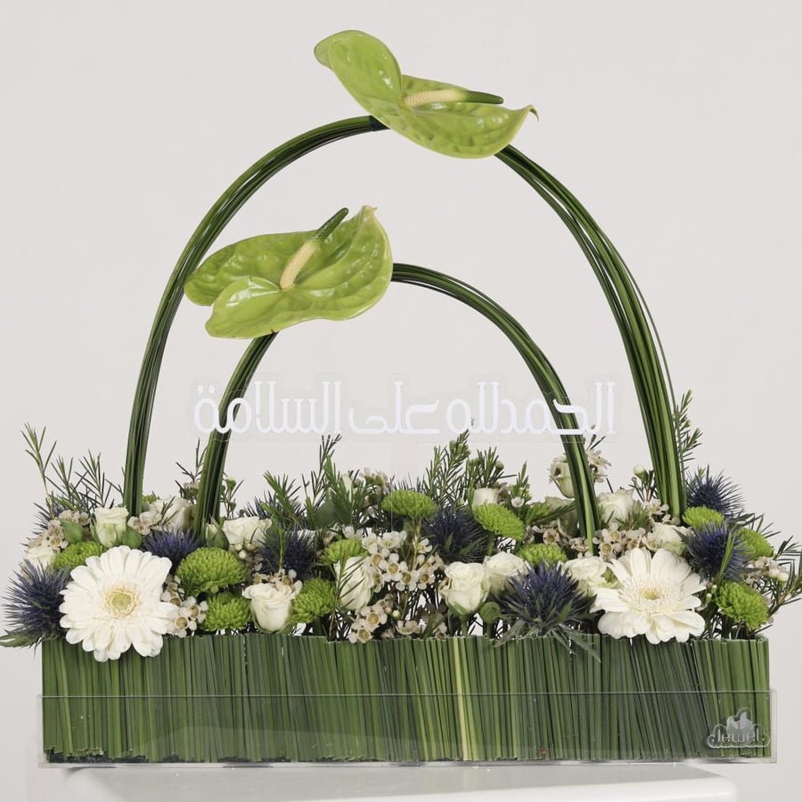 نور وسلام