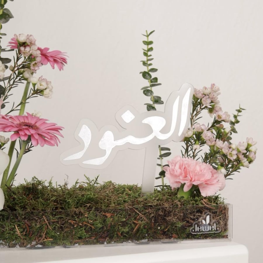 طَلّة الأمیرة