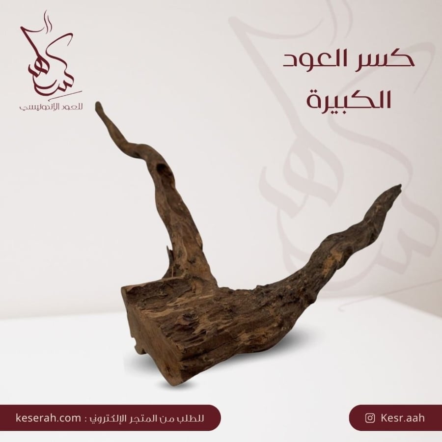 كسر العود الكبيرة 2