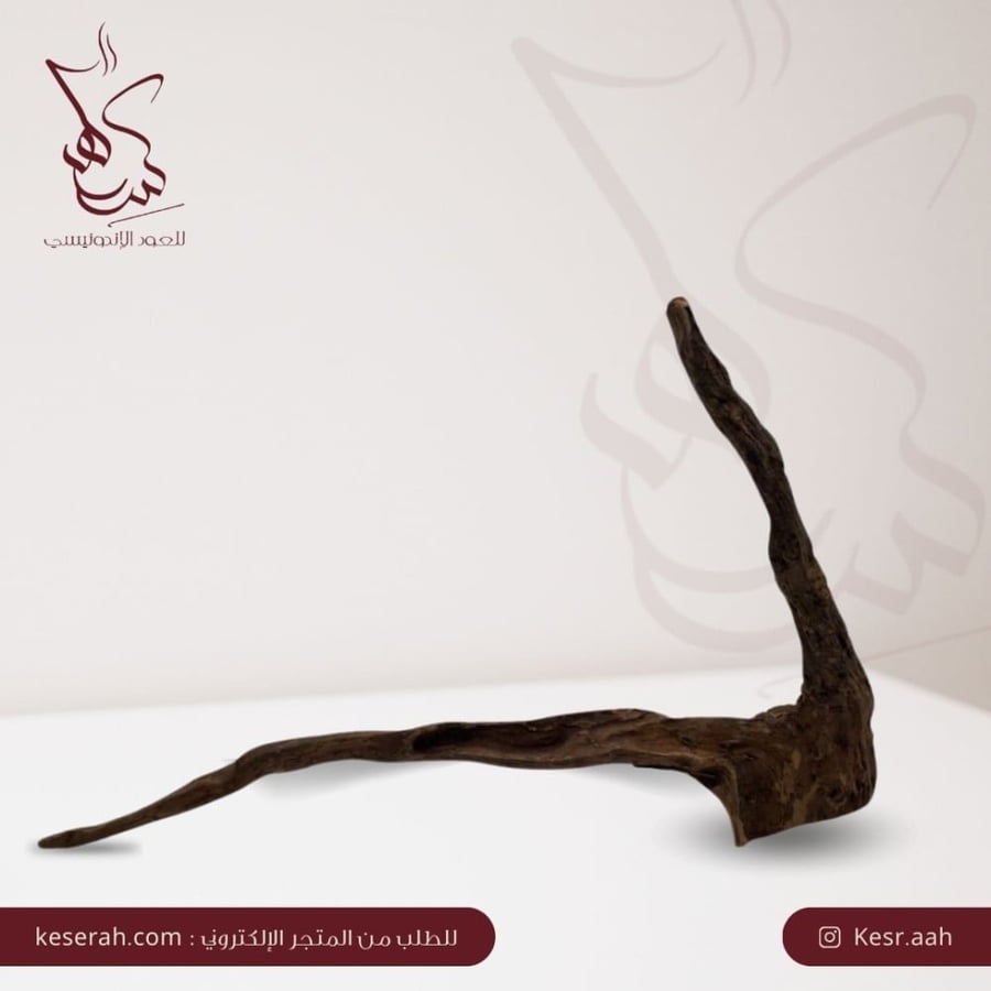 كسر العود الكبيرة 2
