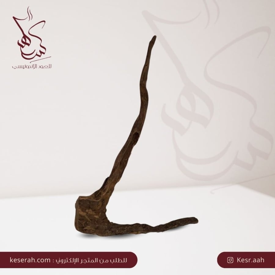 كسر العود الكبيرة 2