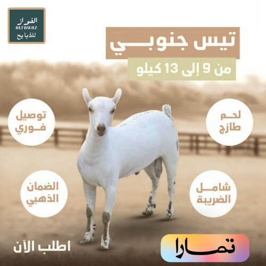 تيس جنوبي
