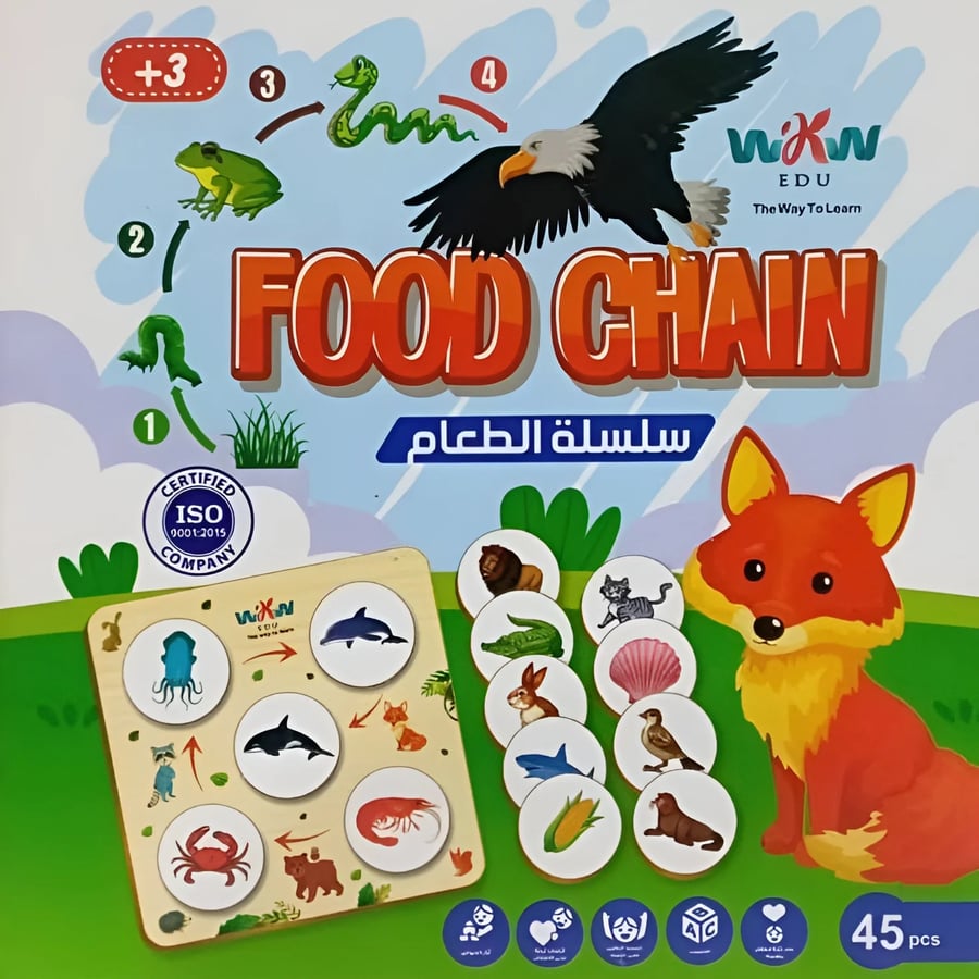 بازل سلسلة الطعام
