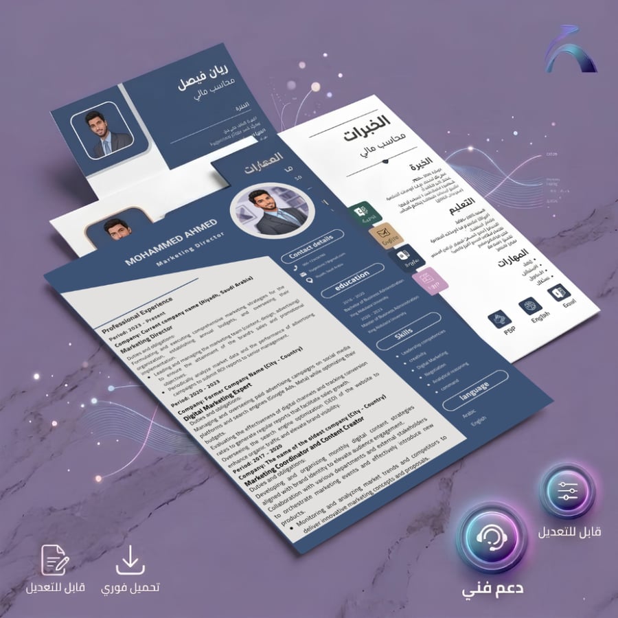 Professional CV Template 1 - English