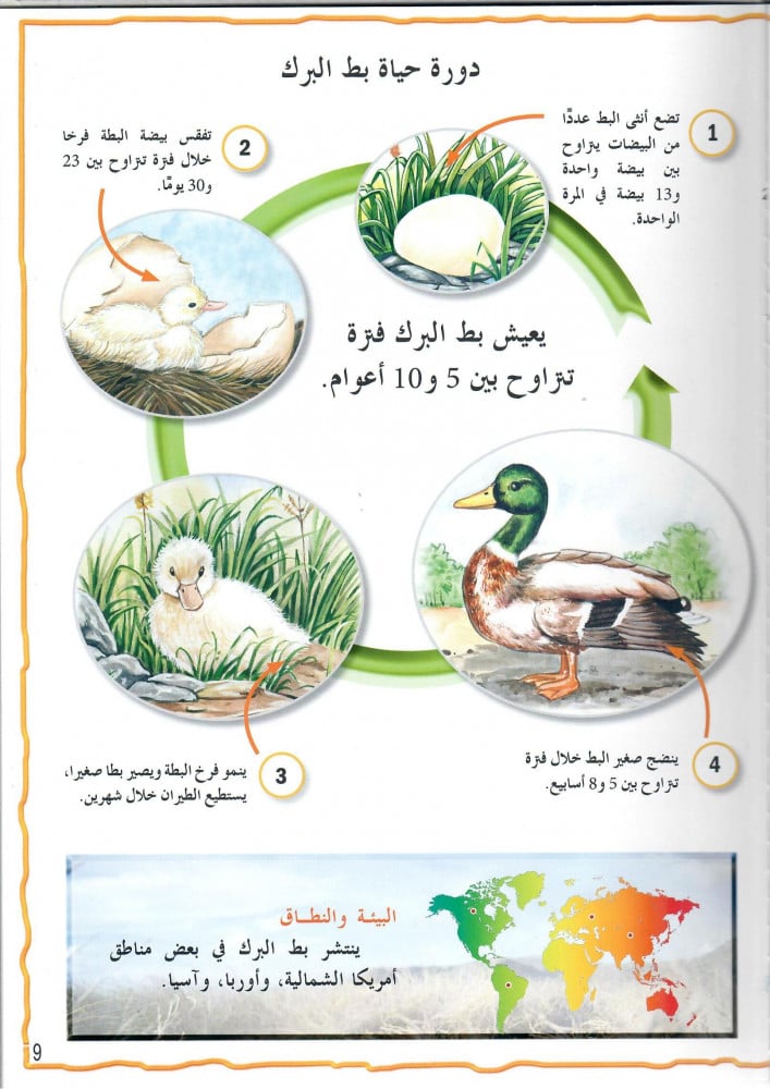 موسوعة الحيوانات - الطيور