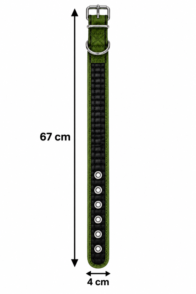 طوق رقبة مبطن للكلاب قابل للتعديل – متوفر بعدة مقاسات | Adjustable Padded Dog Collar – Available in Multiple Sizes