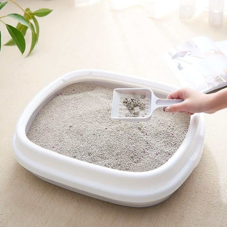 ليتر بوكس مفتوح للقطط مع مغرفة – متوفر بمقاسين وثلاثة ألوان | Open Cat Litter Box with Scoop – Available in Two Sizes & Three Colors