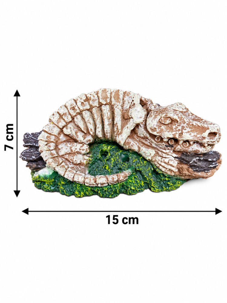 مجسم هيكل عظمي لديناصور لزينة أحواض الأسماك | Dinosaur Skeleton Aquarium Decoration