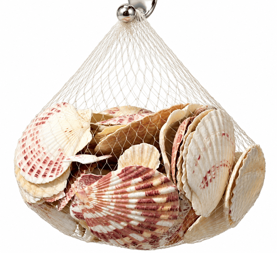 أصداف بحرية مخططة للزينة داخل أحواض الأسماك | Striped Seashell Aquarium Decoration