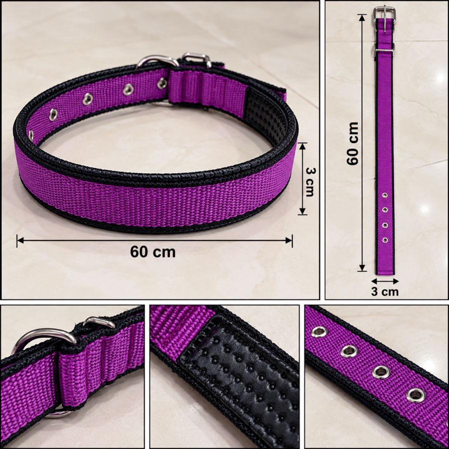 طوق رقبة للكلاب مبطن وقابل للتعديل باللون البنفسجي | Adjustable Padded Purple Dog Collar