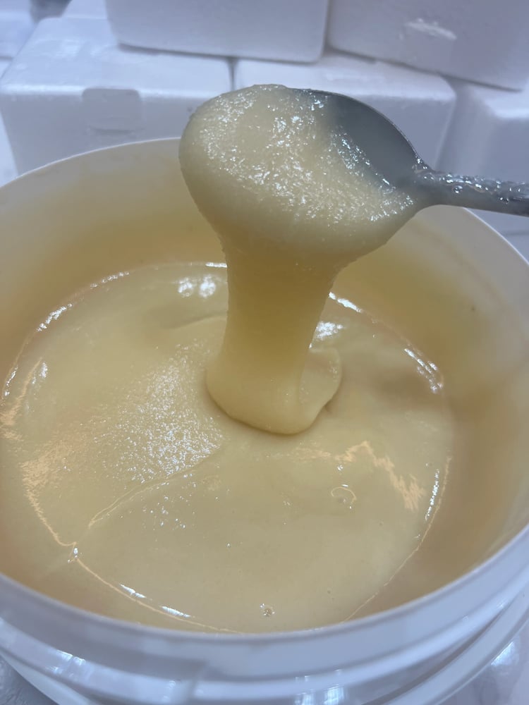 عسل المجرى ( الندغة )البلدي