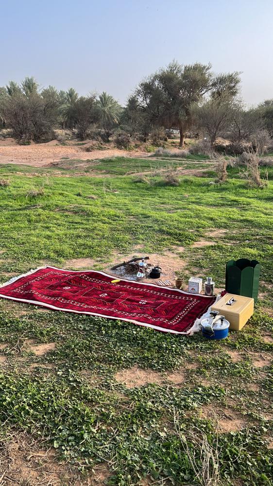 ذرايه رحلة الصحراء 8 ش( زيتي )