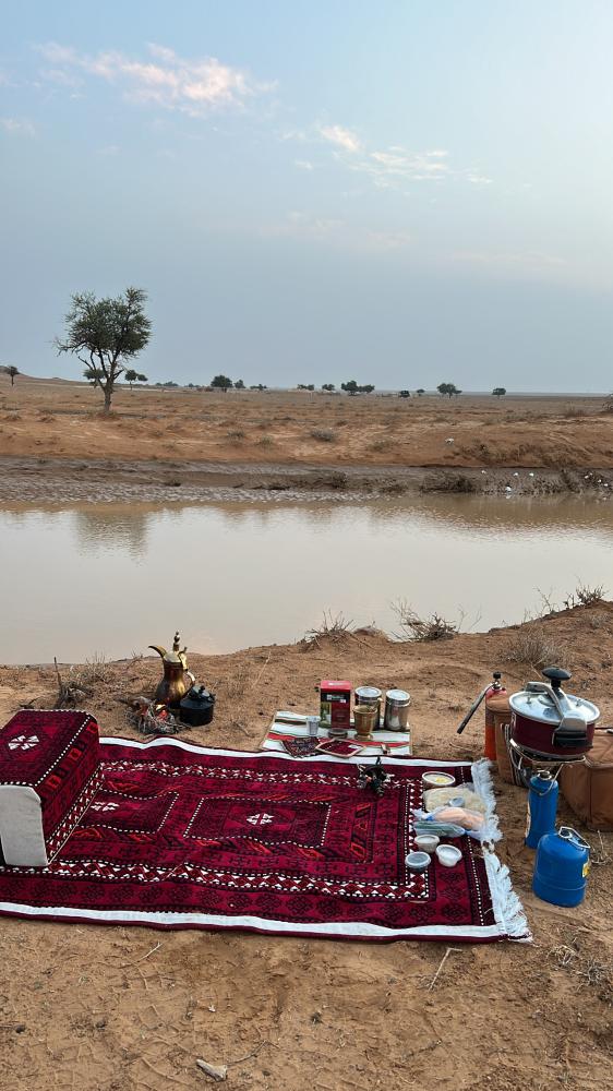 طقم فكتوري اربع فرشات مطرزه مع اربع مراكي 2 بيز مجاناً