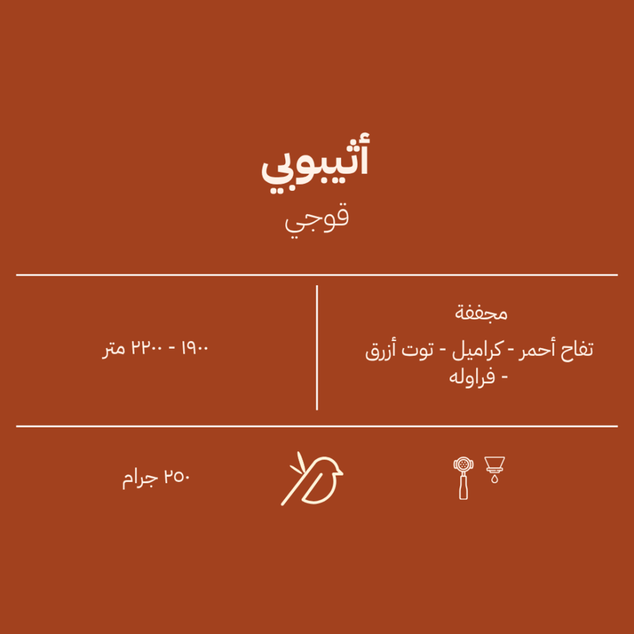 أثيوبي - قوجي