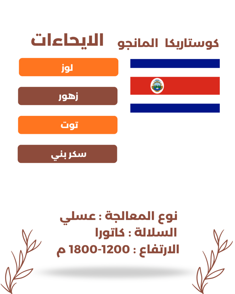 بوكسات القهوة المختصة عروض قهوة مختصة