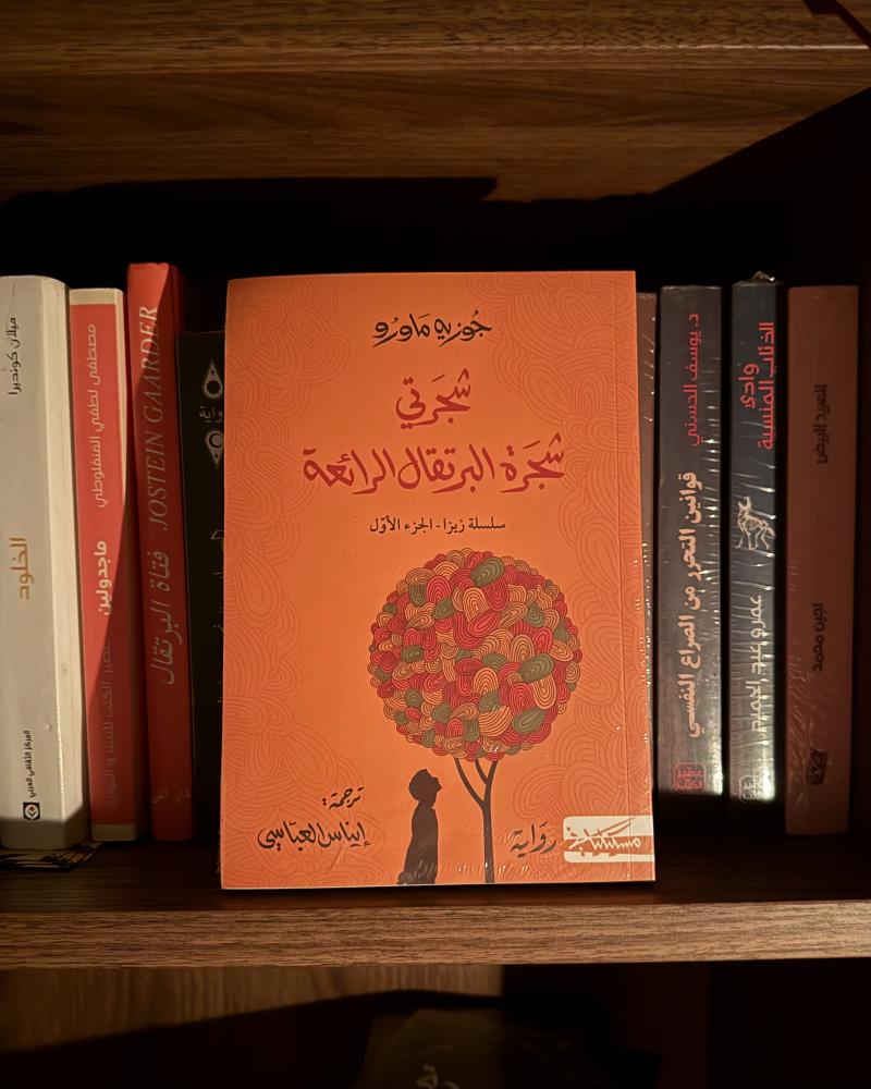 شجرتي شجرة البرتقال الرائعة