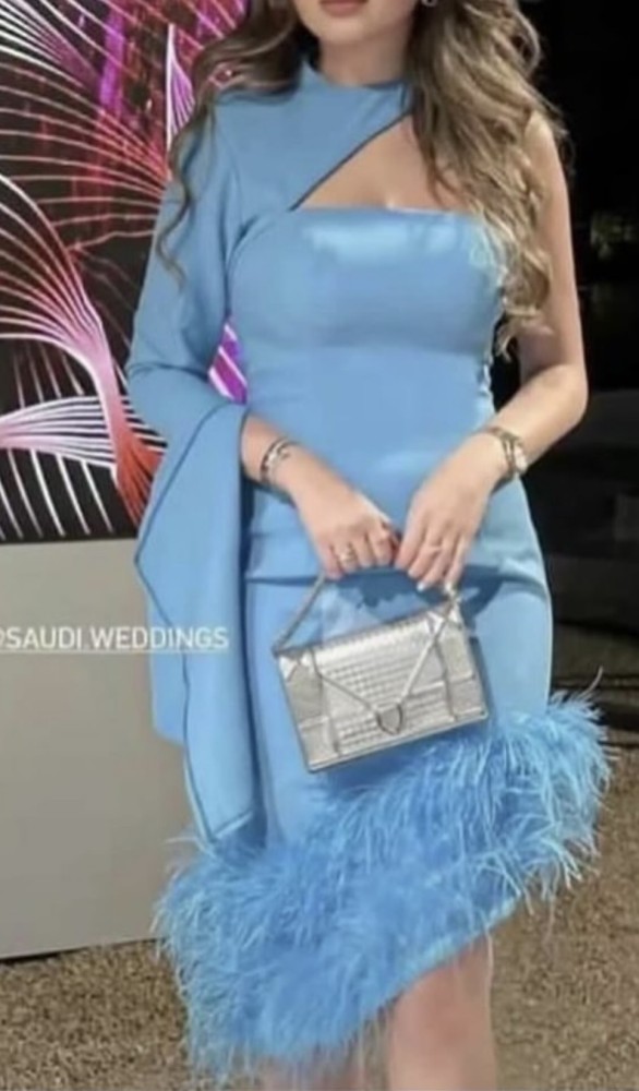 فستان رقم 2201