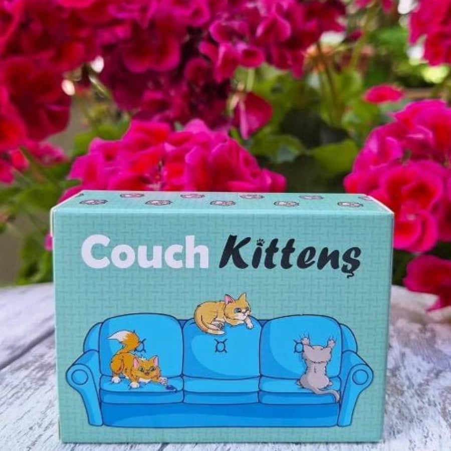 Couch kittens