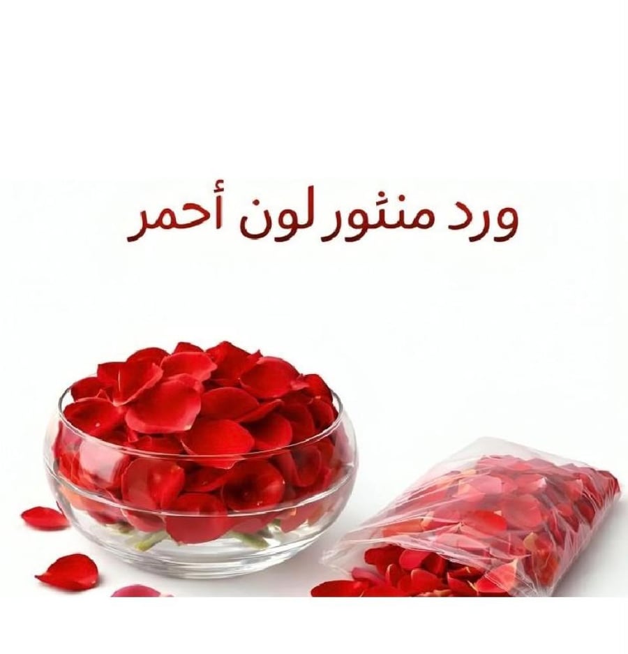 ورد - 603