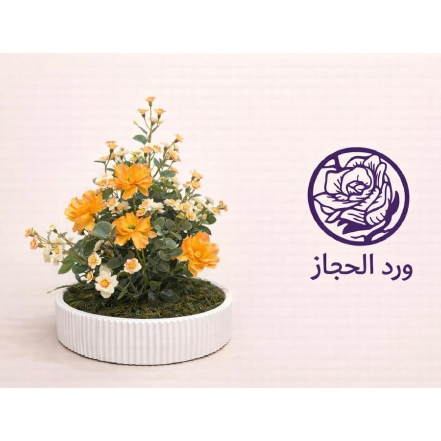 تنسيق - 330