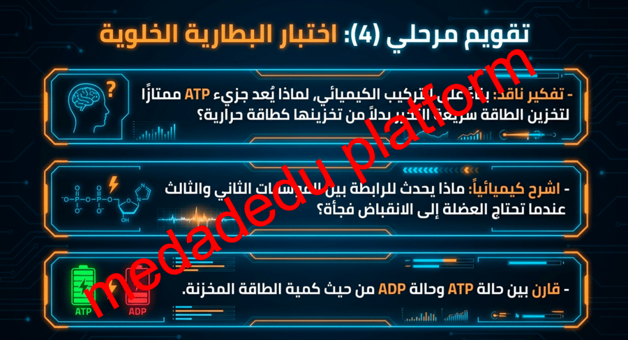 الفصل التاسع كيف تحصل المخلوقات الحية علي الطاقة ؟