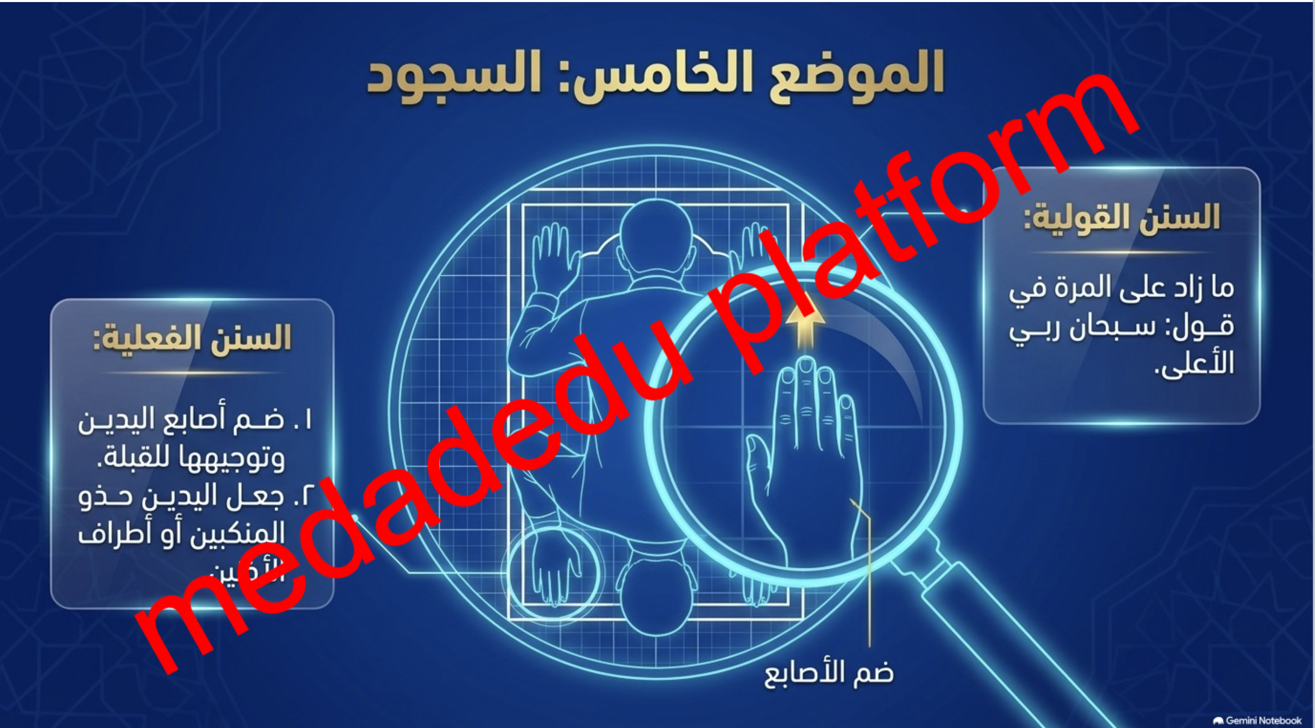 الفقة الدرس الثاني عشر سنن الصلاة