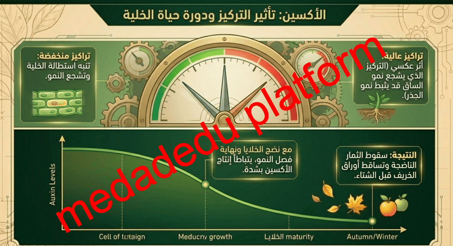 الفصل السادس هرمونات النباتات و استجاباتها