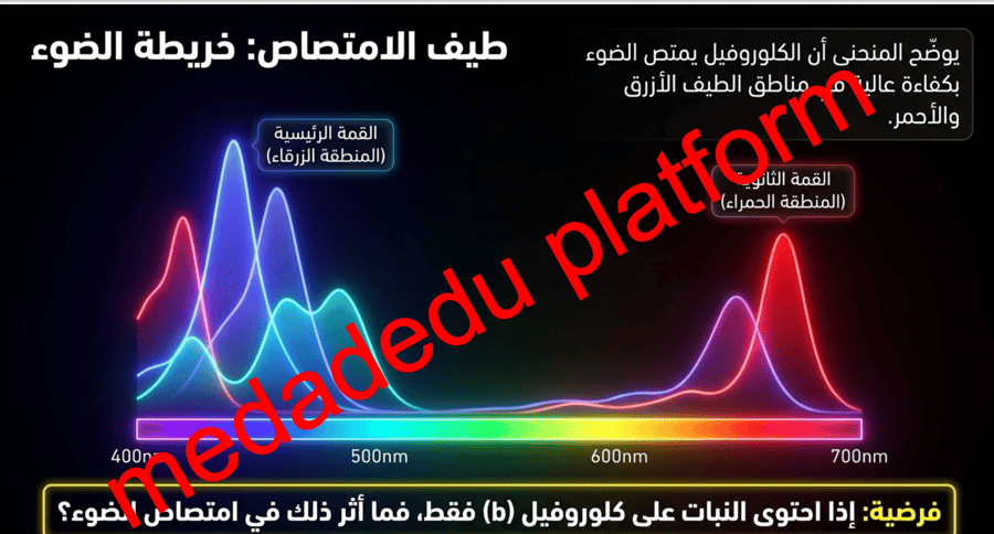 الفصل التاسع البناء الضوئي -