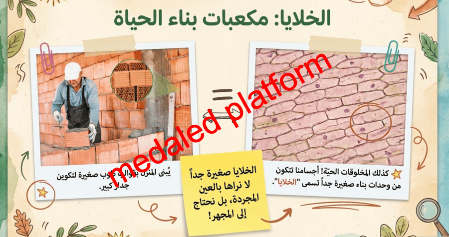 الفصل الاول المخلوقات الحية و حاجاتها