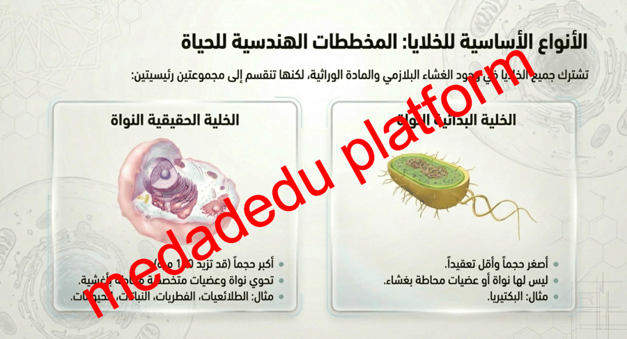 الفصل الثامن التراكيب الخلوية و العضيات