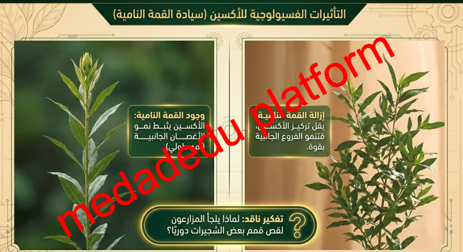 الفصل السادس هرمونات النباتات و استجاباتها