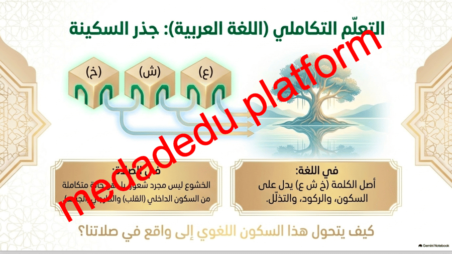 الفقة الدرس الرابع عشر الخشوع في الصلاة