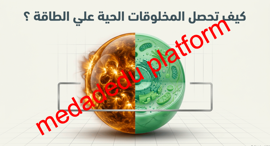 الفصل التاسع كيف تحصل المخلوقات الحية علي الطاقة ؟