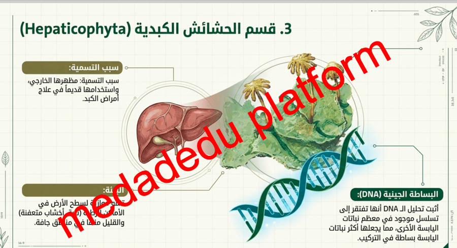 الفصل الخامس النباتات اللاوعائية