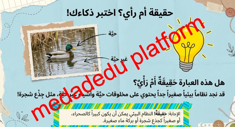 الفصل الثالث مقدمة في الأنظمة البيئية