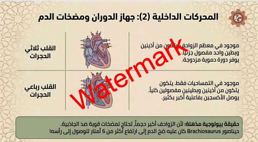 الفصل الثالث الزواحف
