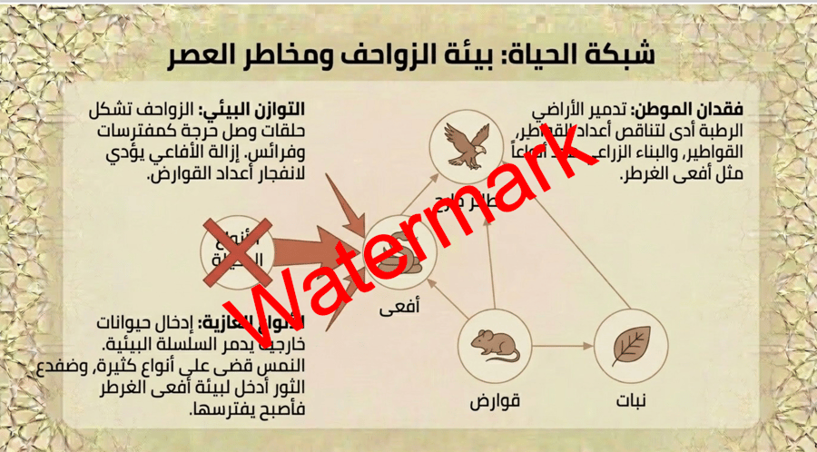 الفصل الثالث الزواحف