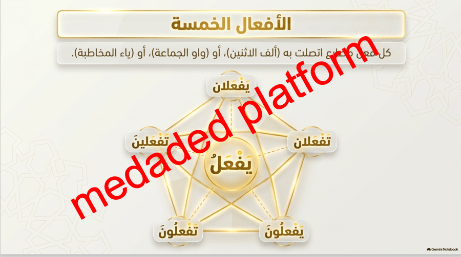 الكفاية النحوية إعراب الفعل المضارع