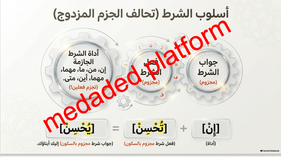 الكفاية النحوية إعراب الفعل المضارع