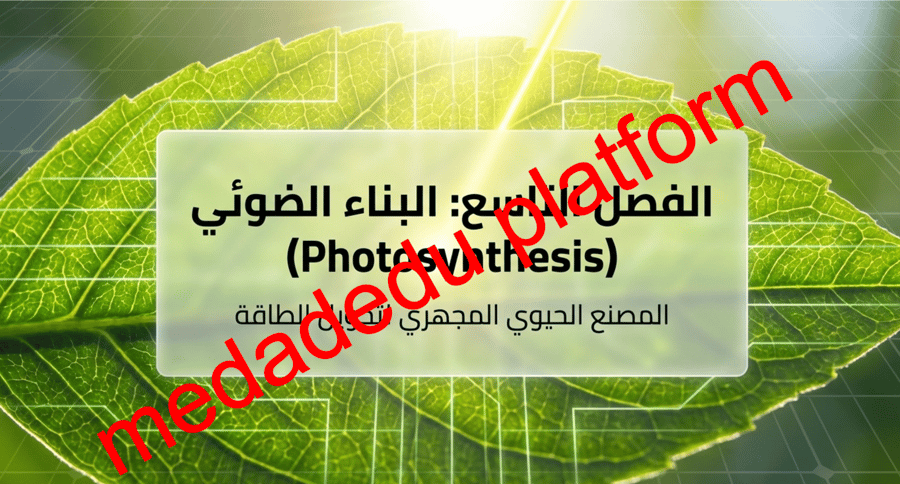 الفصل التاسع البناء الضوئي -