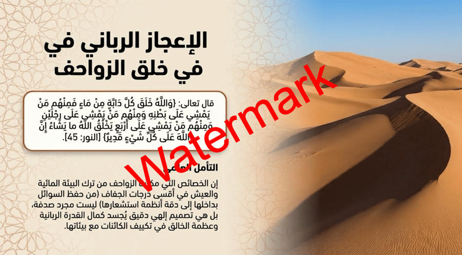 الفصل الثالث الزواحف