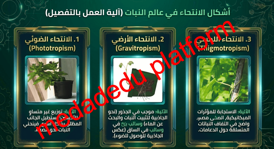 الفصل السادس هرمونات النباتات و استجاباتها