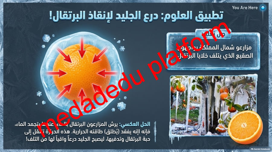 الفصل الثالث الحرارة و تحولات المادة