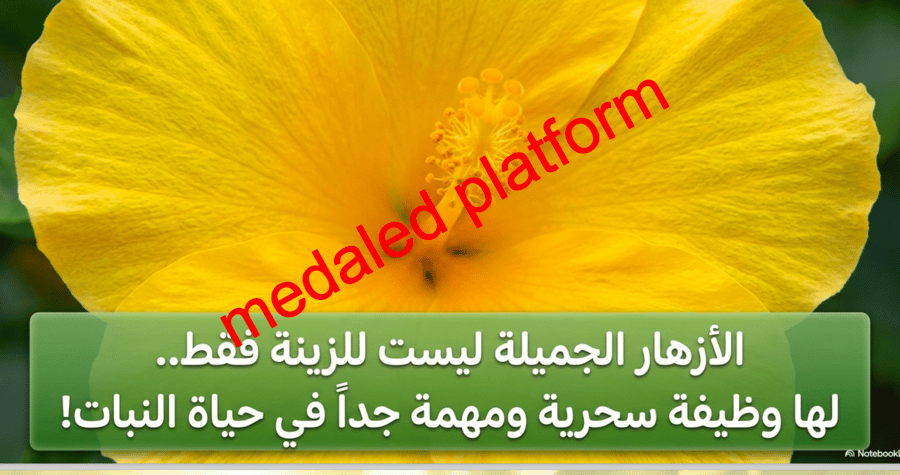 الفصل الثاني دورات حياة النباتات