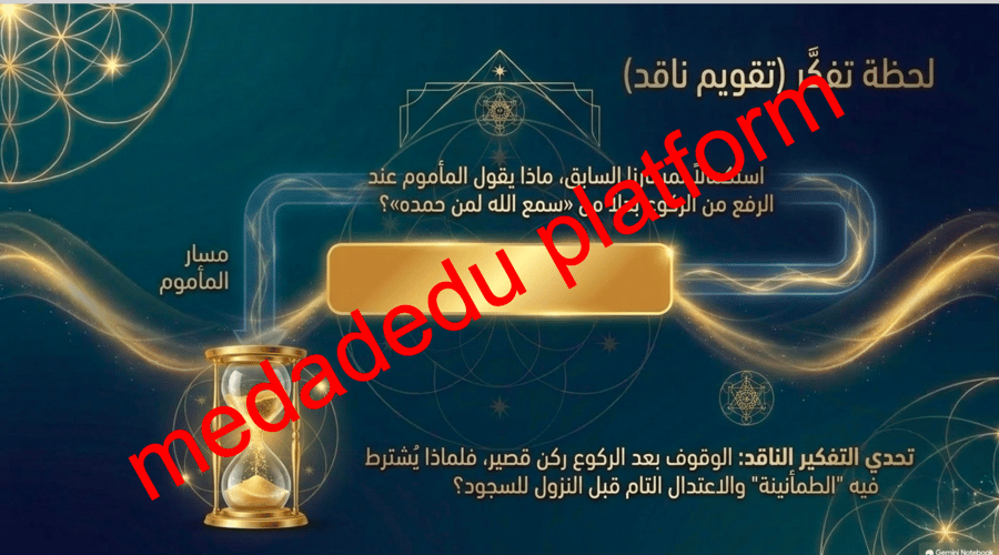 الفقة الدرس العاشر صفة الصلاة ٢