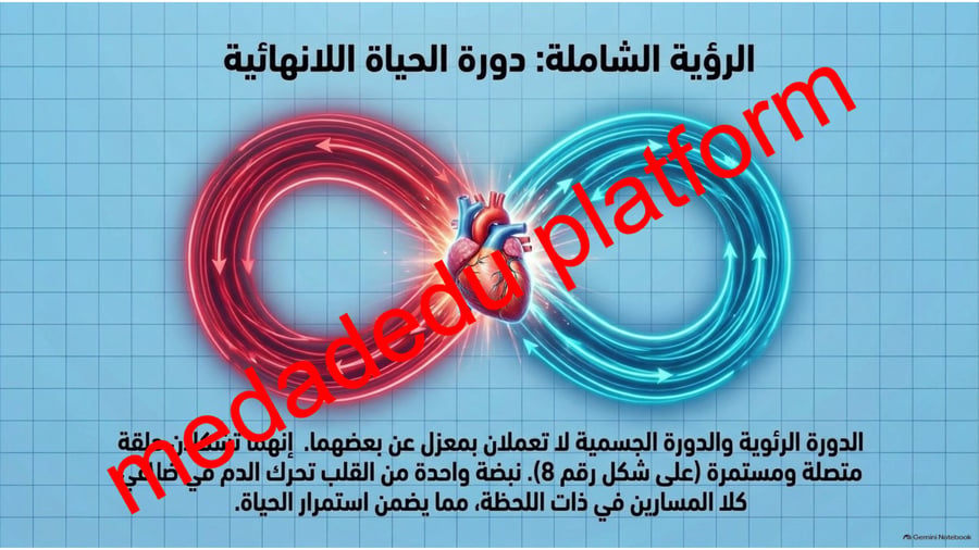الفصل الخامس جهاز الدوران
