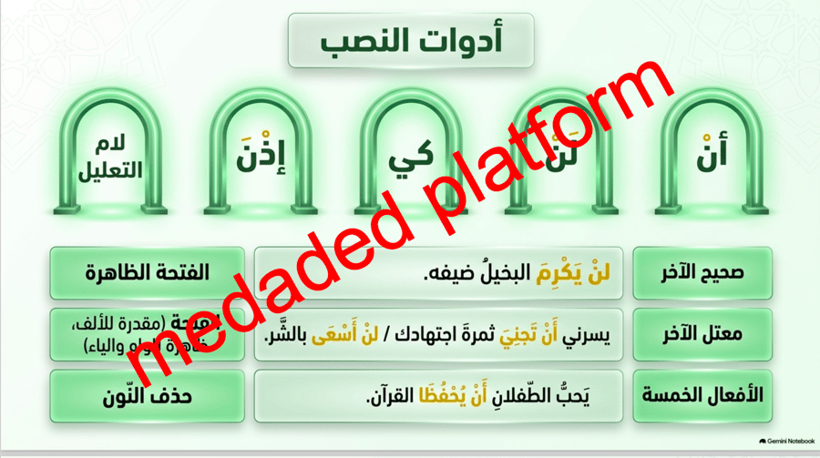 الكفاية النحوية إعراب الفعل المضارع